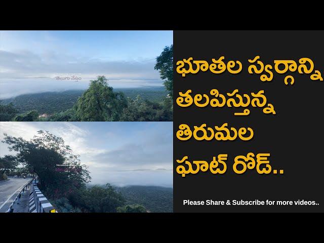 Tirumala Ghat Road Looking Like Heaven On Earth