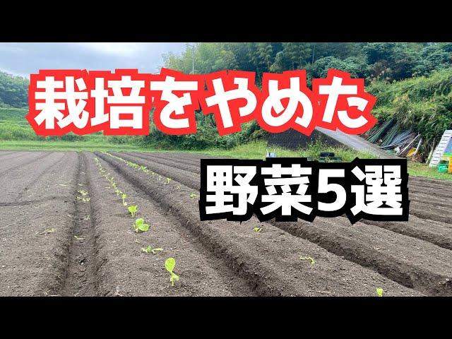 【個人農家・家庭菜園向け】栽培をやめた野菜5選「栽培計画のご参考に…」