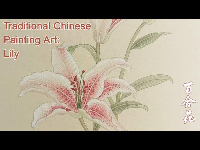 Traditional Chinese Painting Art: Lily     工笔画_百合花画法_国画_手绘