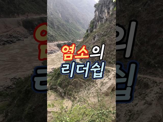 운남성) 금수만도 못한 놈, 그 금수에게 한수 배웠던 그날의 기록