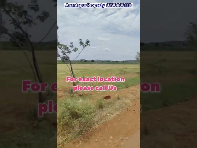 Best Property for Open Plot& From Land Ventures #realestate #anantapur #propertysales #shorts