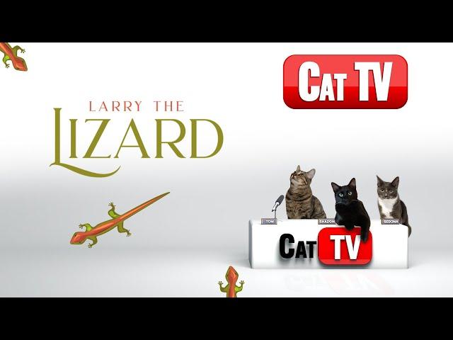 CAT TV | Cat Games | Larry the Lizard | Videos For Cats