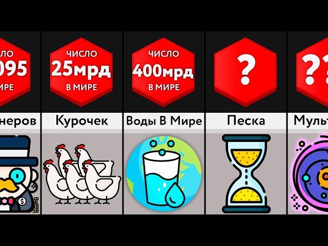 Сколько Всего _____ В Мире?