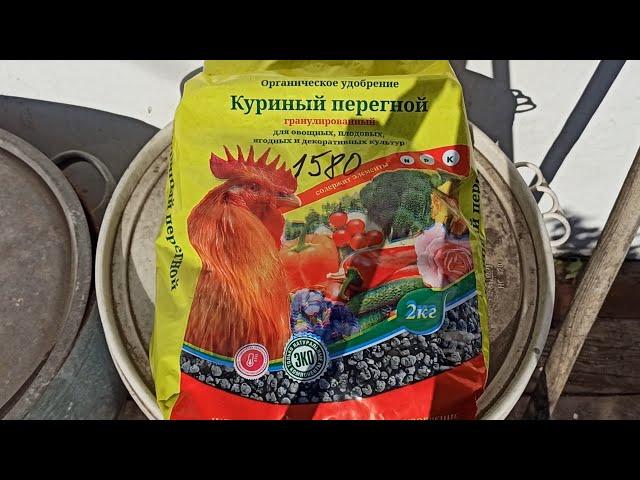 Как развести гранулированный куриный помет для подкормки растений