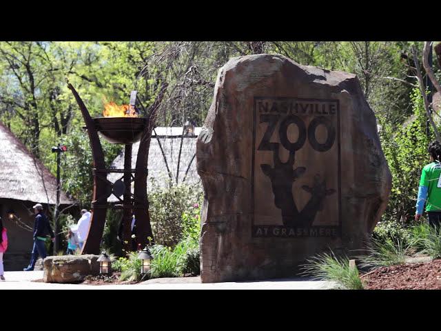 Nashville Zoo Tour - ALL OF THE ANIMALS WERE OUT