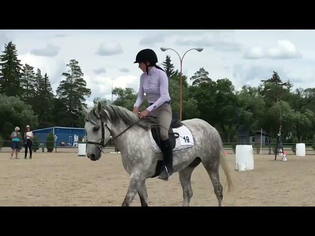 Gemini Working Equitation Obstacles Ease of Handling