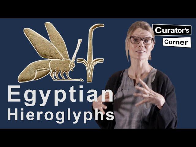 Learn how to read Ancient Egyptian Hieroglyphs with Ilona Regulski | Curator's Corner S7 E11