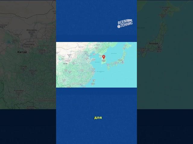 Как устроен теннисный сезон: август-декабрь  #tennis #теннис