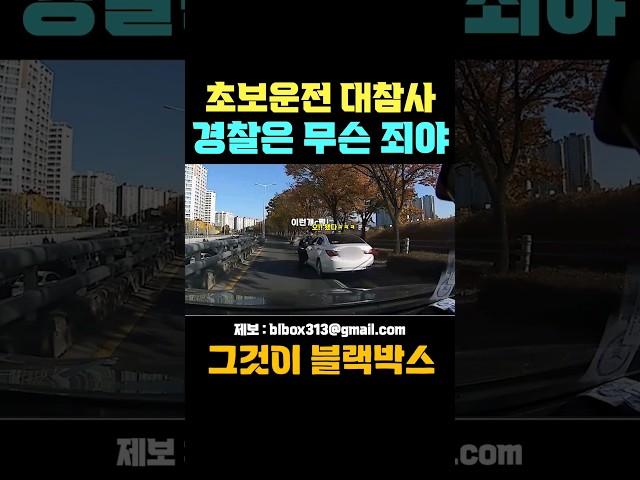 초보운전 대참사