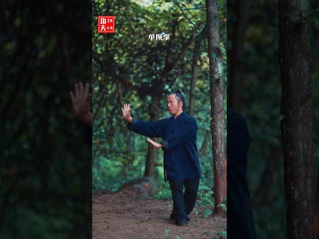 武当八卦掌第12集掌法教学（2）第1掌（Wudang Kungfu Bagua Palm Teaching）