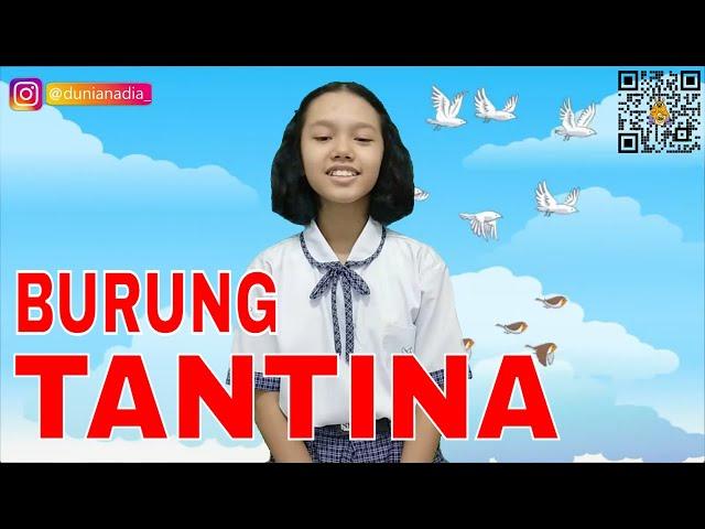 Burung Tantina (Sio Tantina) Lagu Daerah Nusantara Maluku ️ Lirik Lagu Seni Musik ️ Dunia Nadia