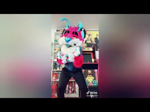 Furry Tik Tok #76