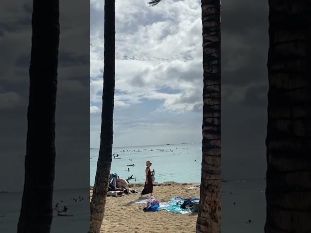 AT KUHIO BEACH|HONOLULU