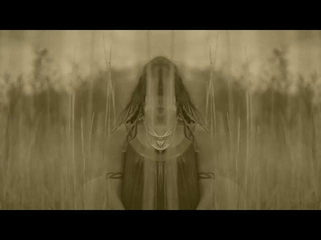 The PsychoDelics Trips - The Birth of Death