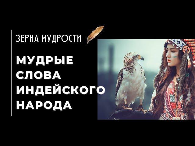 Высказывания индейских вождей   Зерна мудрости, которые перевернут ваш мир!