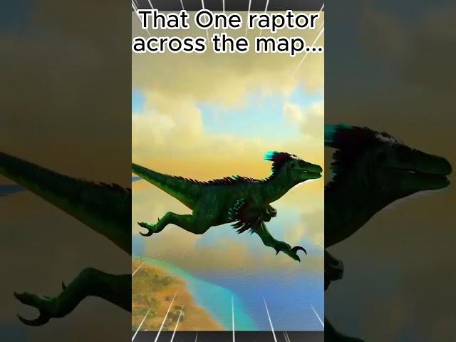 Ark Raptors in A Nutshell...