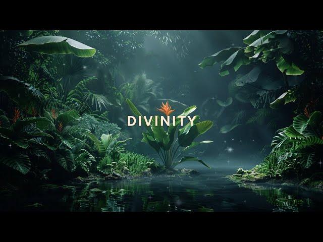 Divinity: Deep Sleep, Meditation, Study Music