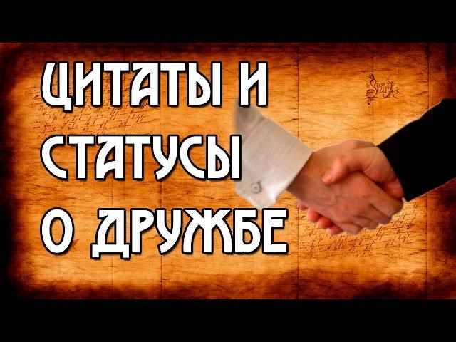 Мудрые цитаты/статусы про дружбу со смыслом!