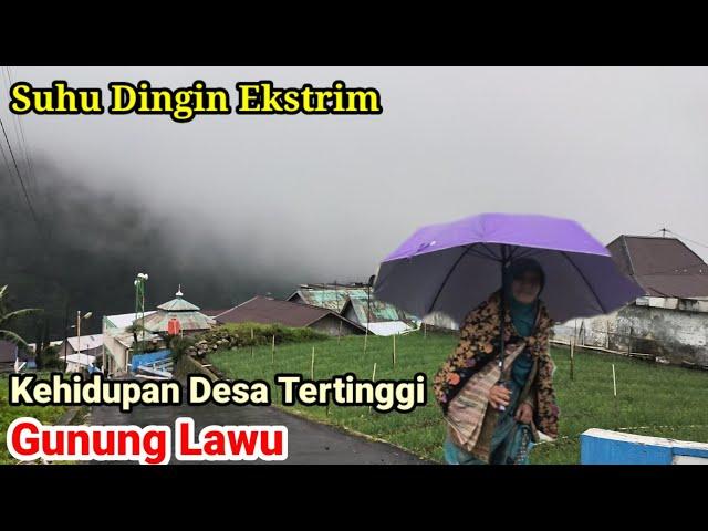 Kehidupan Dingin Desa Tertinggi Gunung Lawu Karanganyar