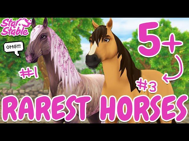 5+ RAREST HORSES TO HAVE IN STAR STABLE! 