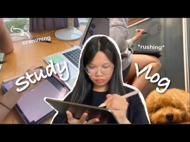 Study vlog: university selection test (UVA psychology course), cramming, high on coffee, taking test