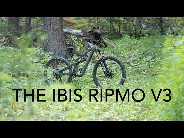 Ripmo than ever before! The Ibis Ripmo V3 - The Inside Line