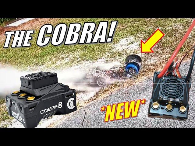 *NEW* Castle COBRA 8 ESC in Arrma LIMITLESS! The BEST 1/8 ESC ever???