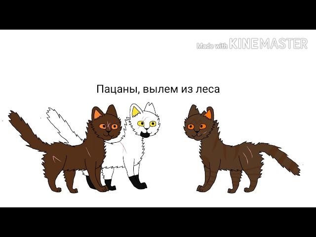 Стань диким в двух словах (Коты-Воители)