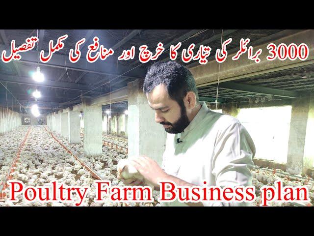 Broiler Chicken farming in Pakistan | 3000 broiler feasibility | Poultry farm business plan