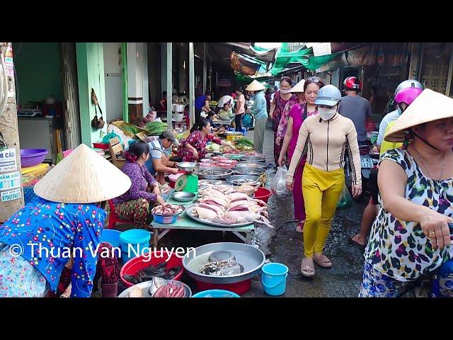 Vietnam || Exploring Mekong Delta