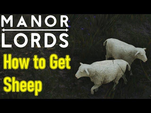 Manor Lords how to get sheep for pastures