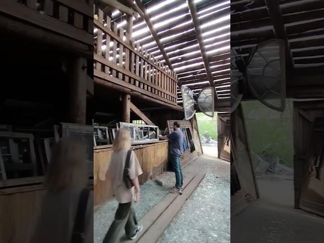 ZABROSHKA/реинкарнация