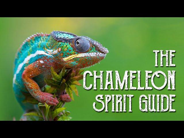 Chameleon Spirit Guide - Ask the Spirit Guides Oracle, Totem Animal, Power Animal, Magical Crafting