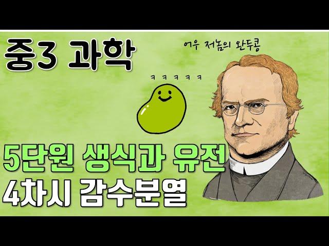 [중3과학] 5단원 4차시 감수분열