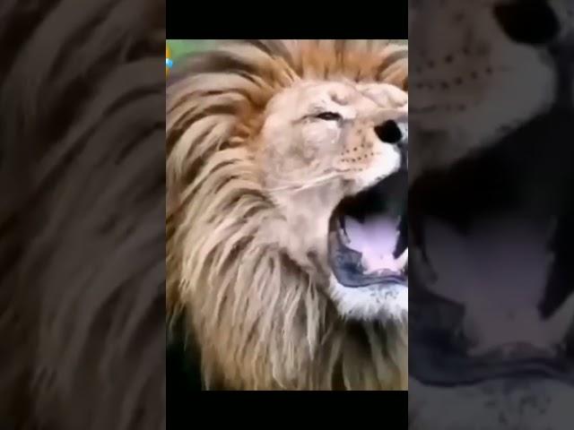 #как я ругаюсь с мужем