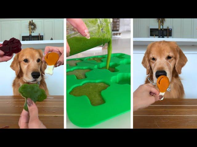 How to Make Healthy Dog Treats ASMR