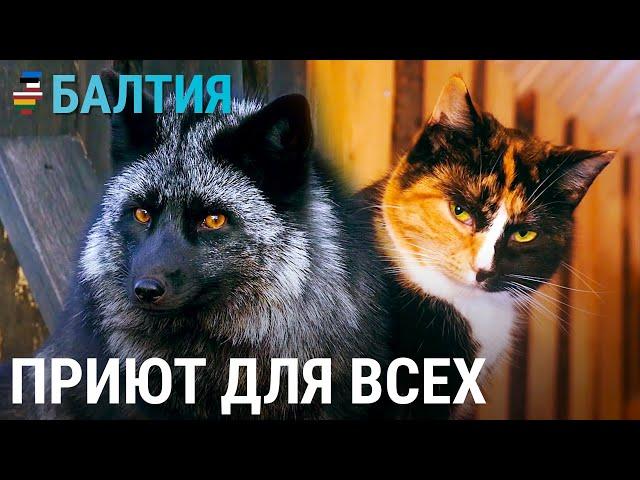 Человек, который спасает | БАЛТИЯ