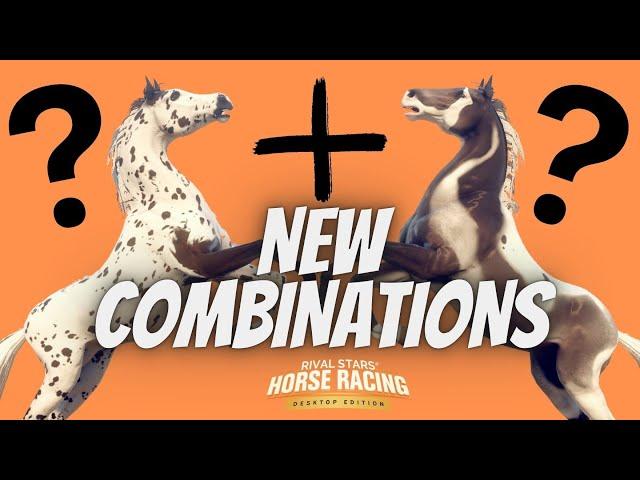 BREEDING COMBINATIONS I'VE NEVER TRIED BEFORE = CRAZY RESULTS! RIVAL STARS HORSE RACING