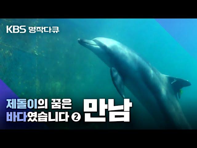 [명작다큐] 제돌이의 꿈은 바다였습니다 _2부 만남