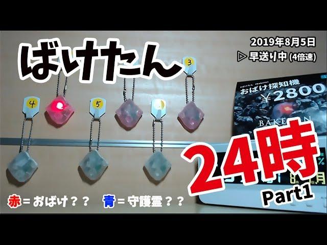 【まとめ】ばけたんを24時間 自動サーチモードで観察してみた