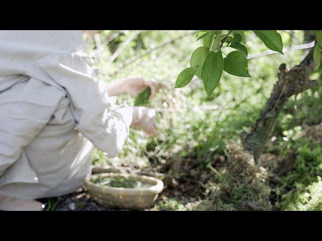 When you need healing | Countryside Life in South Korea | vlog