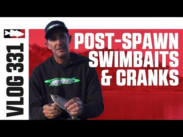 22nd Century Triple Trout and Strike King 6XD on Santa Margarita w. Matt Newman - TW VLOG #331