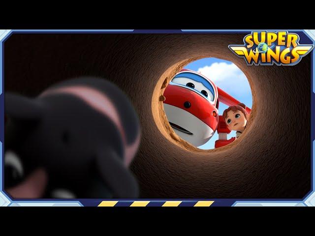 [SUPERWINGS Best] Cute Baby Animals | Super Wings | Best Compilation EP90