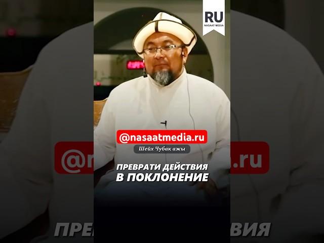 Преврати действия в поклонение. #насаатмедиа #rec #rek #film #шейх_чубак_ажы #live #чубакажы #ислам