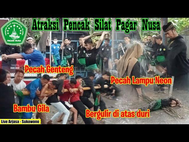 Atraksi pencak silat pagar nusa di arjasa - sukowono