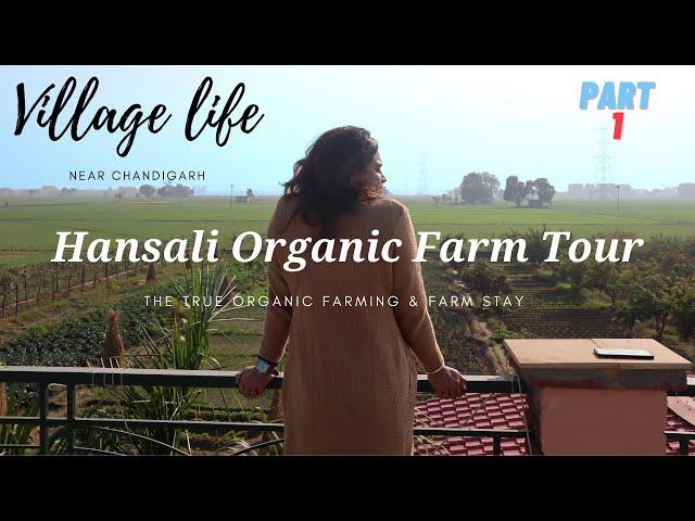 Hansali Organic Farm | Organic Farming & Farm Stay  Part 1| Prince Charles are visited this Farm