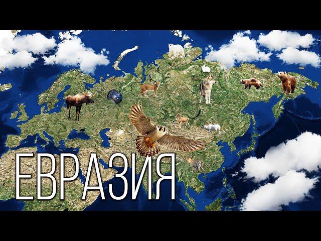 Mainland Eurasia: The most-most on Planet Earth | Interesting facts about the Eurasia continent