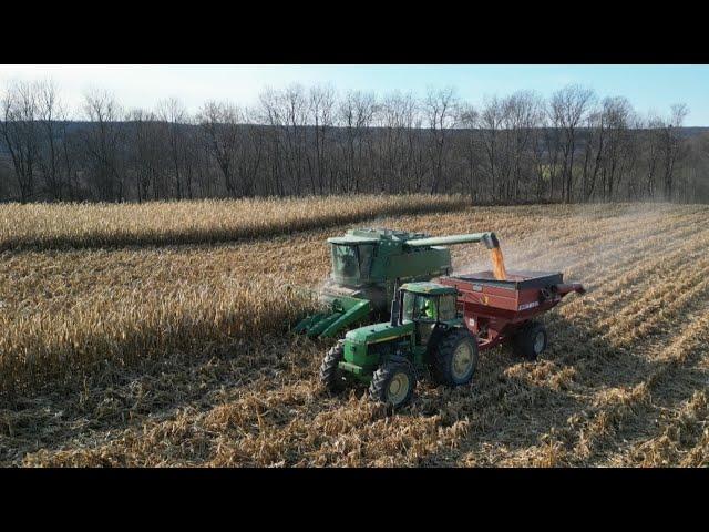 Sights & Sounds Of Corn Harvest