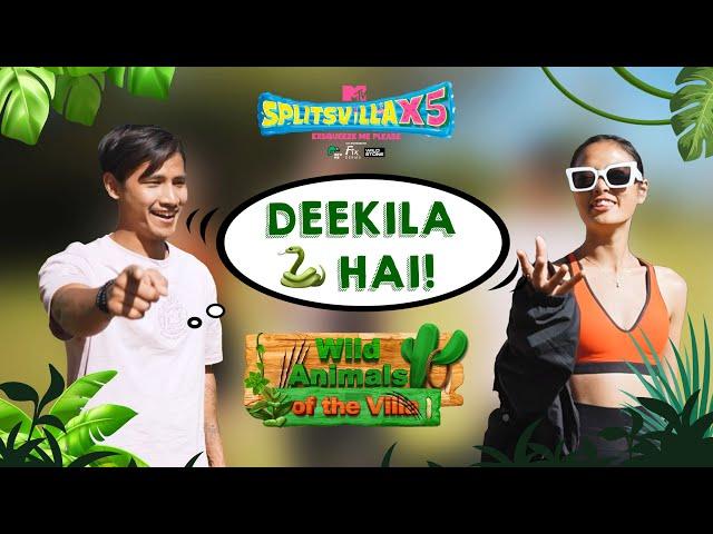 Deekila को बुलाया उसके ही connection Aniket ने सांप!| Wild animals of the villa | MTV Splitsvilla X5