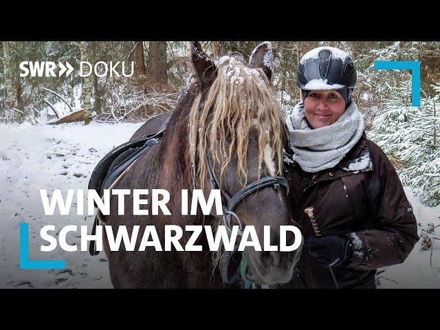 Ein Winter im Schwarzwald | SWR Doku